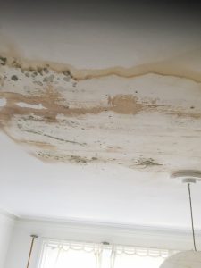 Repair Of A Water Damaged Ceiling Handyman Sw17